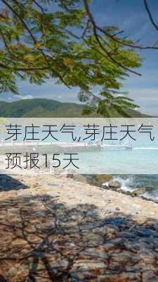 芽庄天气,芽庄天气预报15天