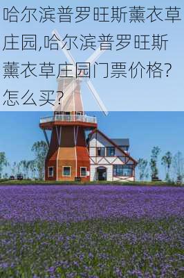 哈尔滨普罗旺斯薰衣草庄园,哈尔滨普罗旺斯薰衣草庄园门票价格?怎么买?-第2张图片-奥莱旅游网