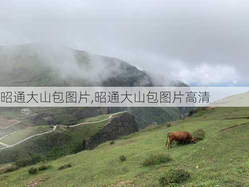 昭通大山包图片,昭通大山包图片高清-第2张图片-奥莱旅游网