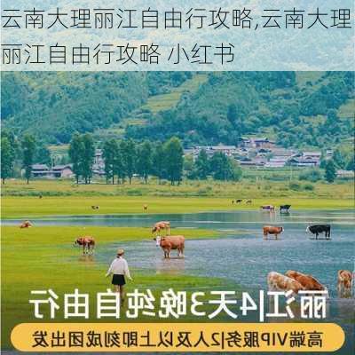 云南大理丽江自由行攻略,云南大理丽江自由行攻略 小红书-第3张图片-奥莱旅游网