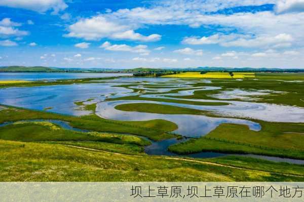 坝上草原,坝上草原在哪个地方-第1张图片-奥莱旅游网