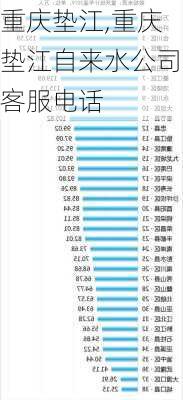 重庆垫江,重庆垫江自来水公司客服电话-第2张图片-奥莱旅游网