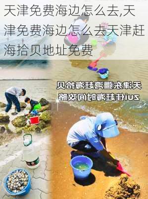 天津免费海边怎么去,天津免费海边怎么去天津赶海拾贝地址免费-第2张图片-奥莱旅游网