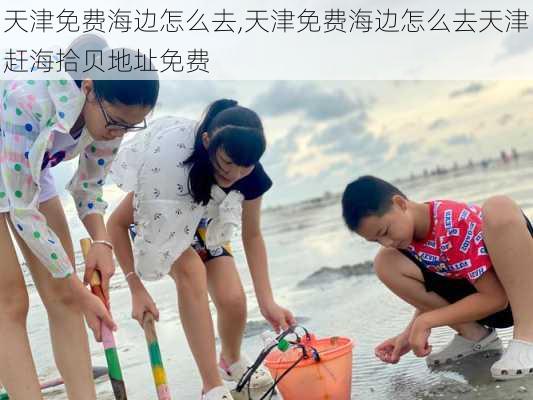 天津免费海边怎么去,天津免费海边怎么去天津赶海拾贝地址免费-第3张图片-奥莱旅游网