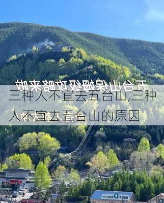 三种人不宜去五台山,三种人不宜去五台山的原因