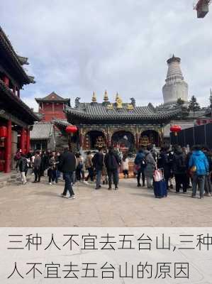 三种人不宜去五台山,三种人不宜去五台山的原因-第3张图片-奥莱旅游网