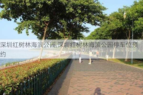 深圳红树林海滨公园,深圳红树林海滨公园停车位预约