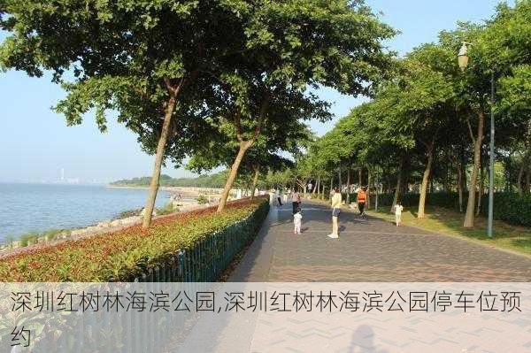 深圳红树林海滨公园,深圳红树林海滨公园停车位预约