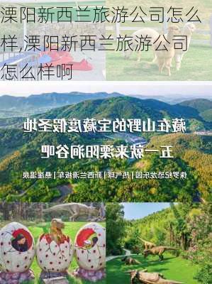 溧阳新西兰旅游公司怎么样,溧阳新西兰旅游公司怎么样啊-第1张图片-奥莱旅游网