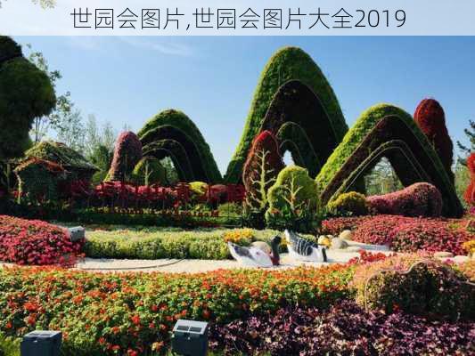 世园会图片,世园会图片大全2019