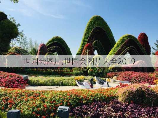 世园会图片,世园会图片大全2019-第1张图片-奥莱旅游网