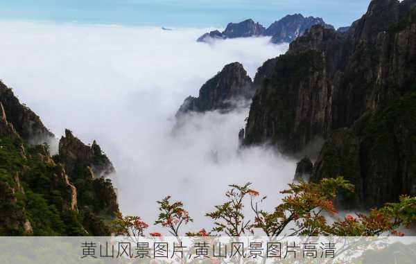 黄山风景图片,黄山风景图片高清