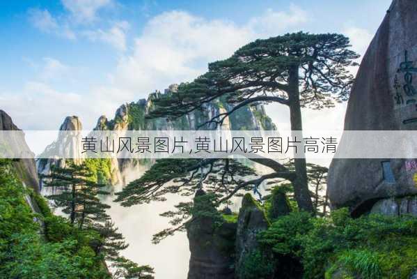 黄山风景图片,黄山风景图片高清-第2张图片-奥莱旅游网