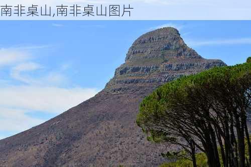 南非桌山,南非桌山图片-第1张图片-奥莱旅游网