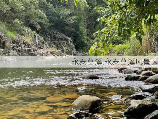 永泰莒溪,永泰莒溪风景区-第1张图片-奥莱旅游网