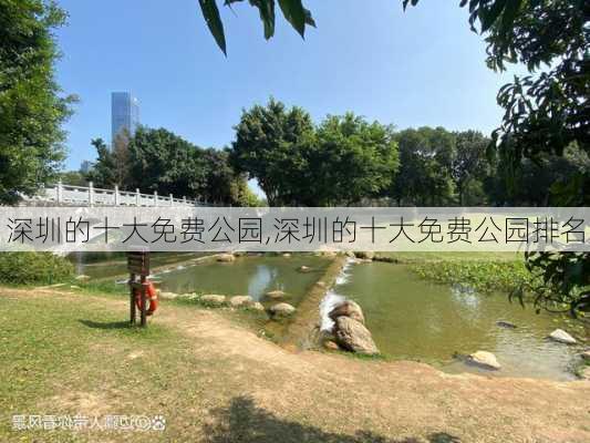 深圳的十大免费公园,深圳的十大免费公园排名-第2张图片-奥莱旅游网