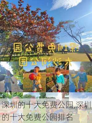 深圳的十大免费公园,深圳的十大免费公园排名-第1张图片-奥莱旅游网