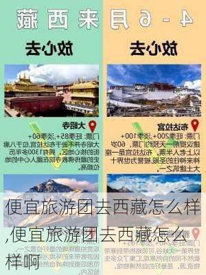 便宜旅游团去西藏怎么样,便宜旅游团去西藏怎么样啊-第2张图片-奥莱旅游网