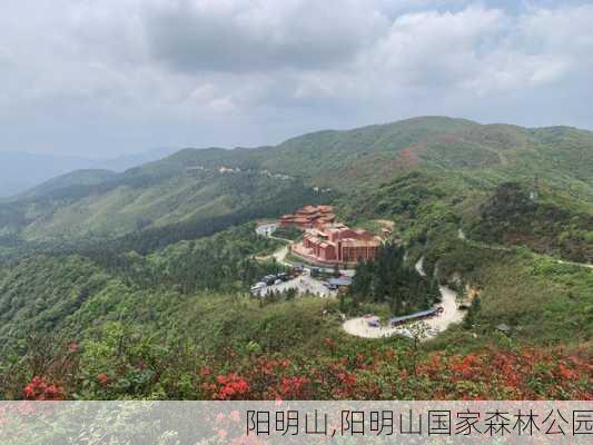 阳明山,阳明山国家森林公园-第2张图片-奥莱旅游网