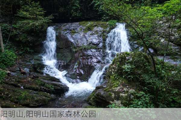 阳明山,阳明山国家森林公园