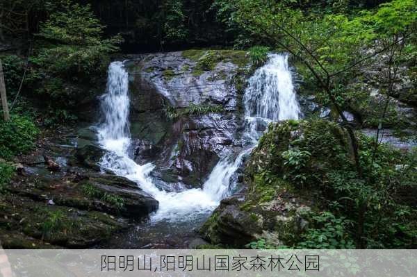 阳明山,阳明山国家森林公园-第1张图片-奥莱旅游网