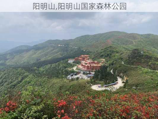 阳明山,阳明山国家森林公园-第2张图片-奥莱旅游网