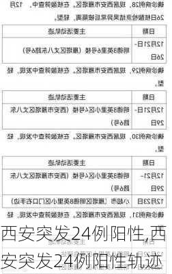 西安突发24例阳性,西安突发24例阳性轨迹-第3张图片-奥莱旅游网