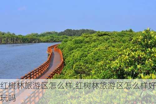 红树林旅游区怎么样,红树林旅游区怎么样好玩吗