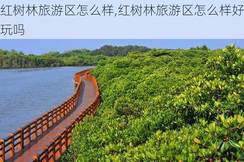 红树林旅游区怎么样,红树林旅游区怎么样好玩吗