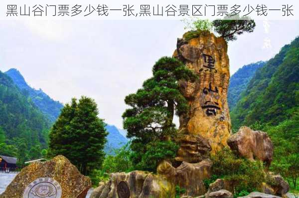 黑山谷门票多少钱一张,黑山谷景区门票多少钱一张-第2张图片-奥莱旅游网