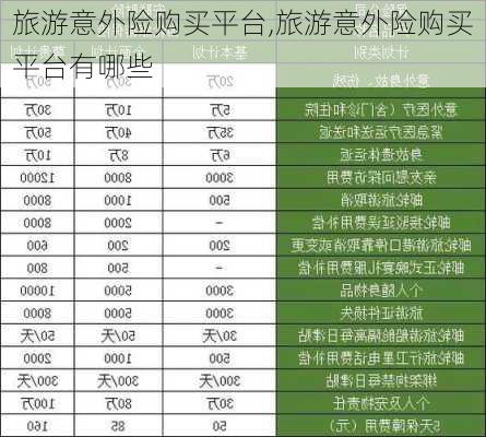 旅游意外险购买平台,旅游意外险购买平台有哪些-第1张图片-奥莱旅游网