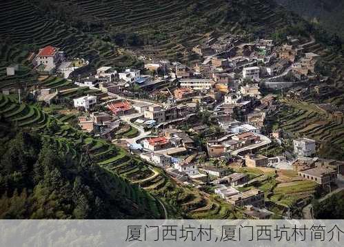 厦门西坑村,厦门西坑村简介-第2张图片-奥莱旅游网