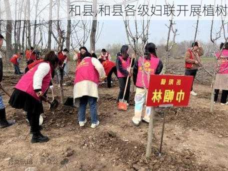 和县,和县各级妇联开展植树-第2张图片-奥莱旅游网