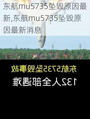 东航mu5735坠毁原因最新,东航mu5735坠毁原因最新消息-第2张图片-奥莱旅游网