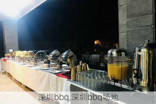 深圳bbq,深圳bbq场地-第3张图片-奥莱旅游网