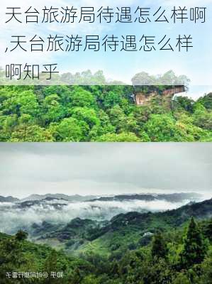 天台旅游局待遇怎么样啊,天台旅游局待遇怎么样啊知乎