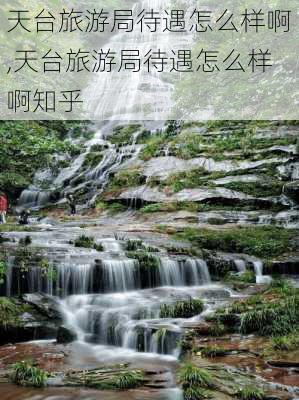 天台旅游局待遇怎么样啊,天台旅游局待遇怎么样啊知乎-第2张图片-奥莱旅游网