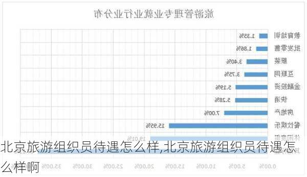 北京旅游组织员待遇怎么样,北京旅游组织员待遇怎么样啊-第1张图片-奥莱旅游网