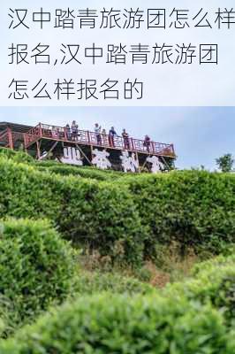 汉中踏青旅游团怎么样报名,汉中踏青旅游团怎么样报名的-第3张图片-奥莱旅游网