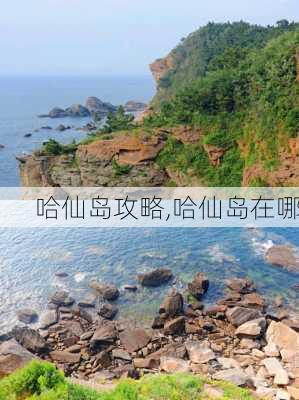 哈仙岛攻略,哈仙岛在哪-第1张图片-奥莱旅游网