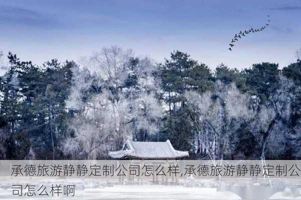 承德旅游静静定制公司怎么样,承德旅游静静定制公司怎么样啊-第1张图片-奥莱旅游网