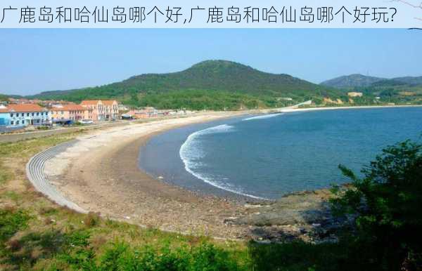 广鹿岛和哈仙岛哪个好,广鹿岛和哈仙岛哪个好玩?-第2张图片-奥莱旅游网