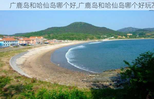 广鹿岛和哈仙岛哪个好,广鹿岛和哈仙岛哪个好玩?-第2张图片-奥莱旅游网