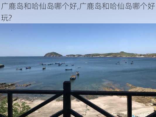 广鹿岛和哈仙岛哪个好,广鹿岛和哈仙岛哪个好玩?-第3张图片-奥莱旅游网