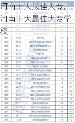 河南十大最佳大专,河南十大最佳大专学校-第3张图片-奥莱旅游网