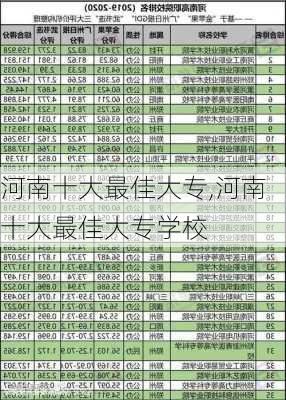 河南十大最佳大专,河南十大最佳大专学校-第1张图片-奥莱旅游网