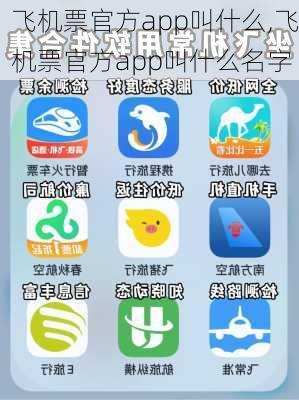 飞机票官方app叫什么,飞机票官方app叫什么名字-第1张图片-奥莱旅游网