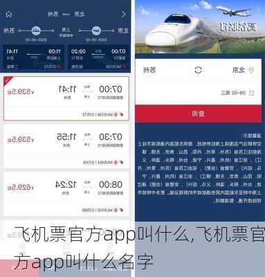 飞机票官方app叫什么,飞机票官方app叫什么名字-第3张图片-奥莱旅游网