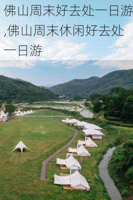 佛山周末好去处一日游,佛山周末休闲好去处一日游