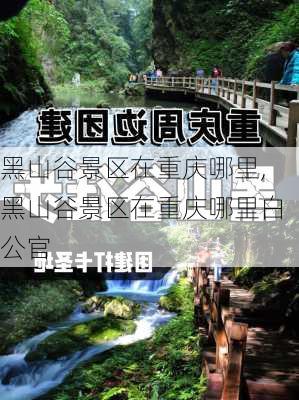 黑山谷景区在重庆哪里,黑山谷景区在重庆哪里白公官-第1张图片-奥莱旅游网